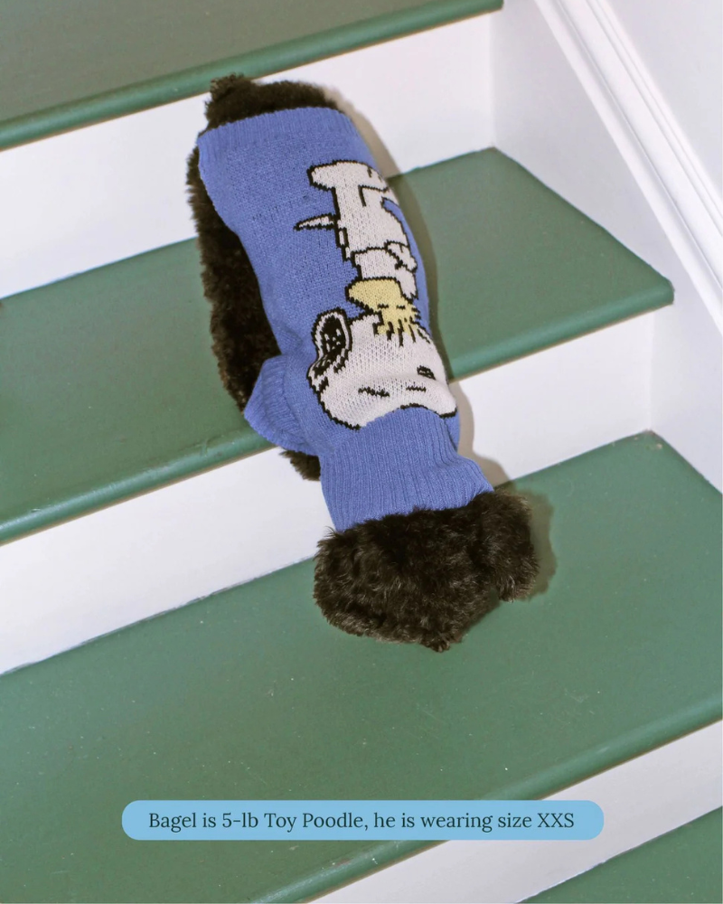 Peanuts Snoopy Dog Sweater in Blue Wear LITTLE BEAST