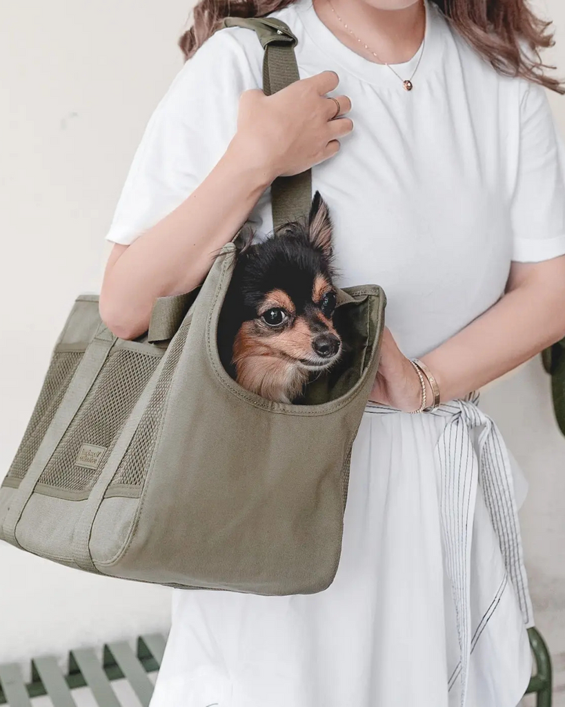 Subway Pet Carrier in Fern CARRY LAMBWOLF COLLECTIVE