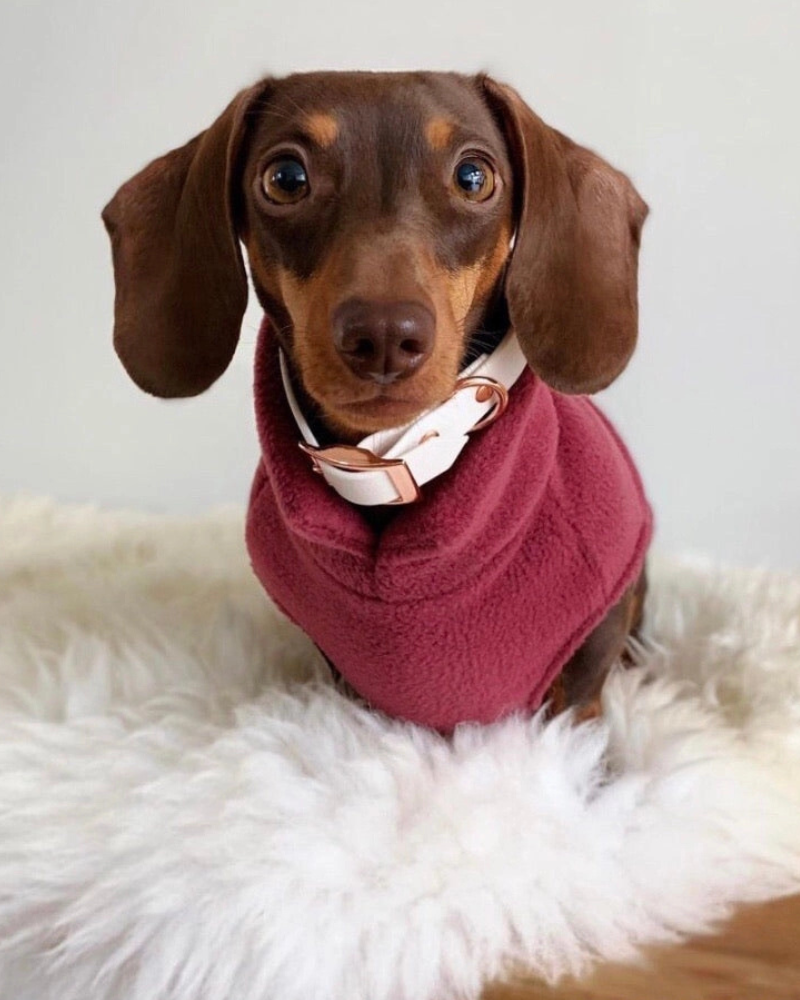 Dachshund Fleece Jumper in Dusty Rose (Made in the UK) Wear DOGHOUSE