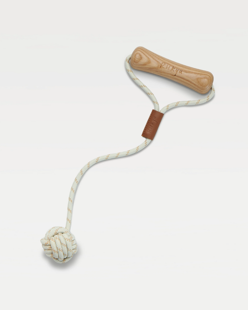 Ash Wood Handle + Rope Ball Dog Toy Play RIIKYU