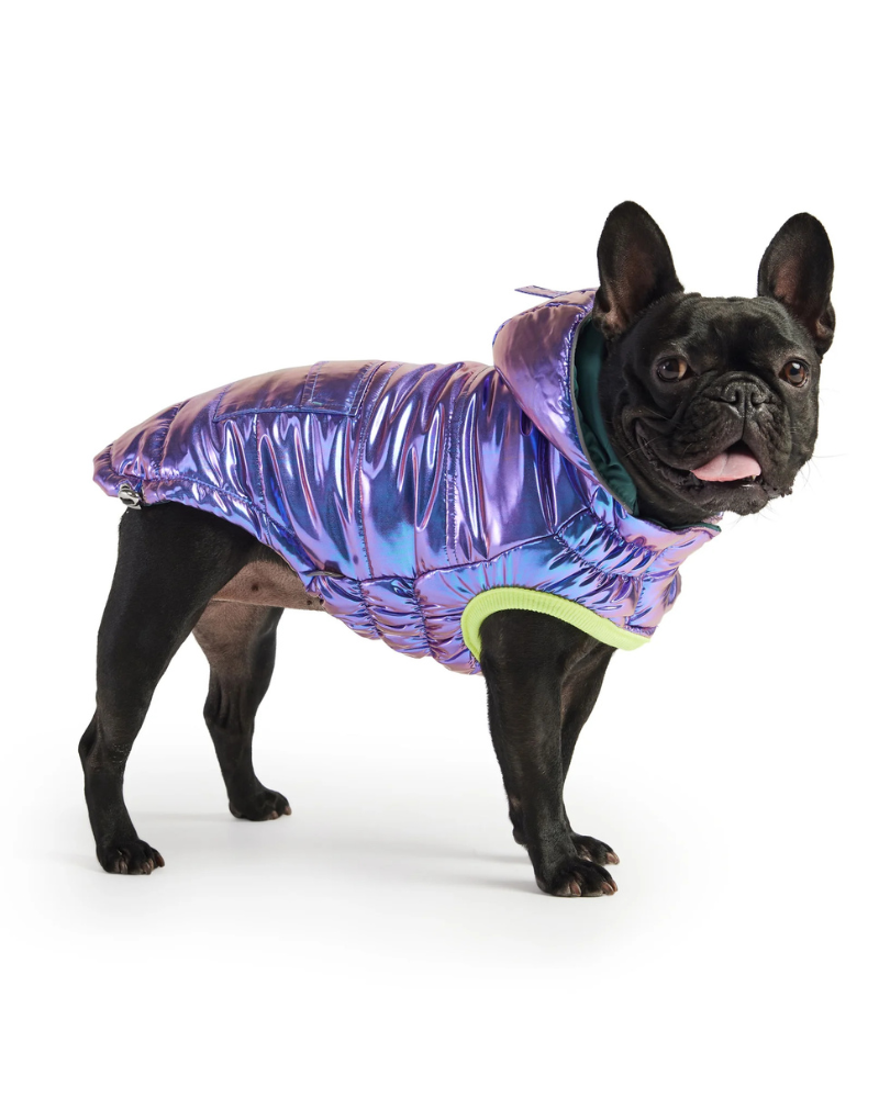 Recycled Arctic Dog Parka in Iridescent (FINAL SALE) Wear GF PET