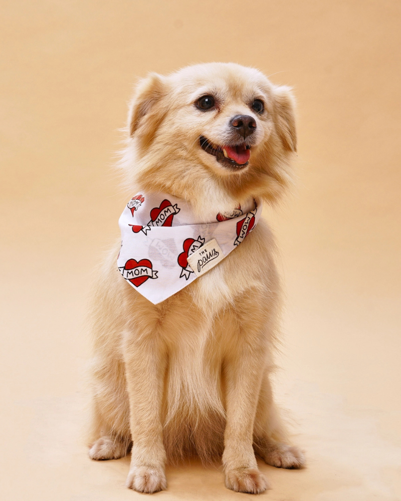 Love MOM Dog Bandana Wear THE PAWS