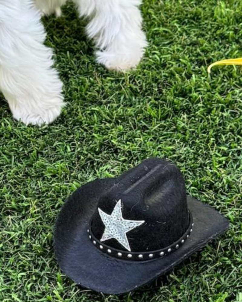 Cowboy Hat for Dogs in Black or Pink Wear HEADS OR TAILS PUP   