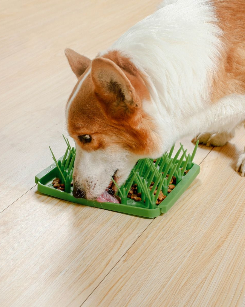 Grass Foraging Mat For Dogs EAT TALL TAILS