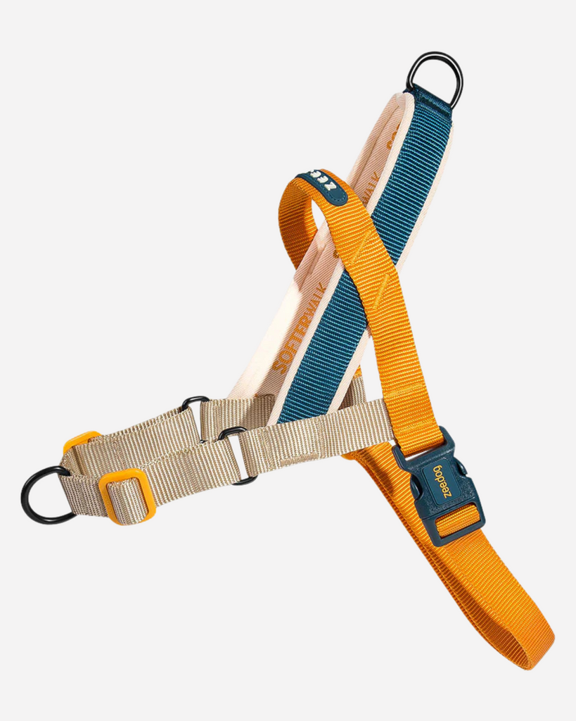 SofterWalk No-Pull Dog Harness in Voyage WALK ZEE.DOG