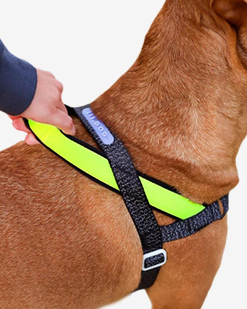 SofterWalk No-Pull Dog Harness in Reflective Nox WALK ZEE.DOG   