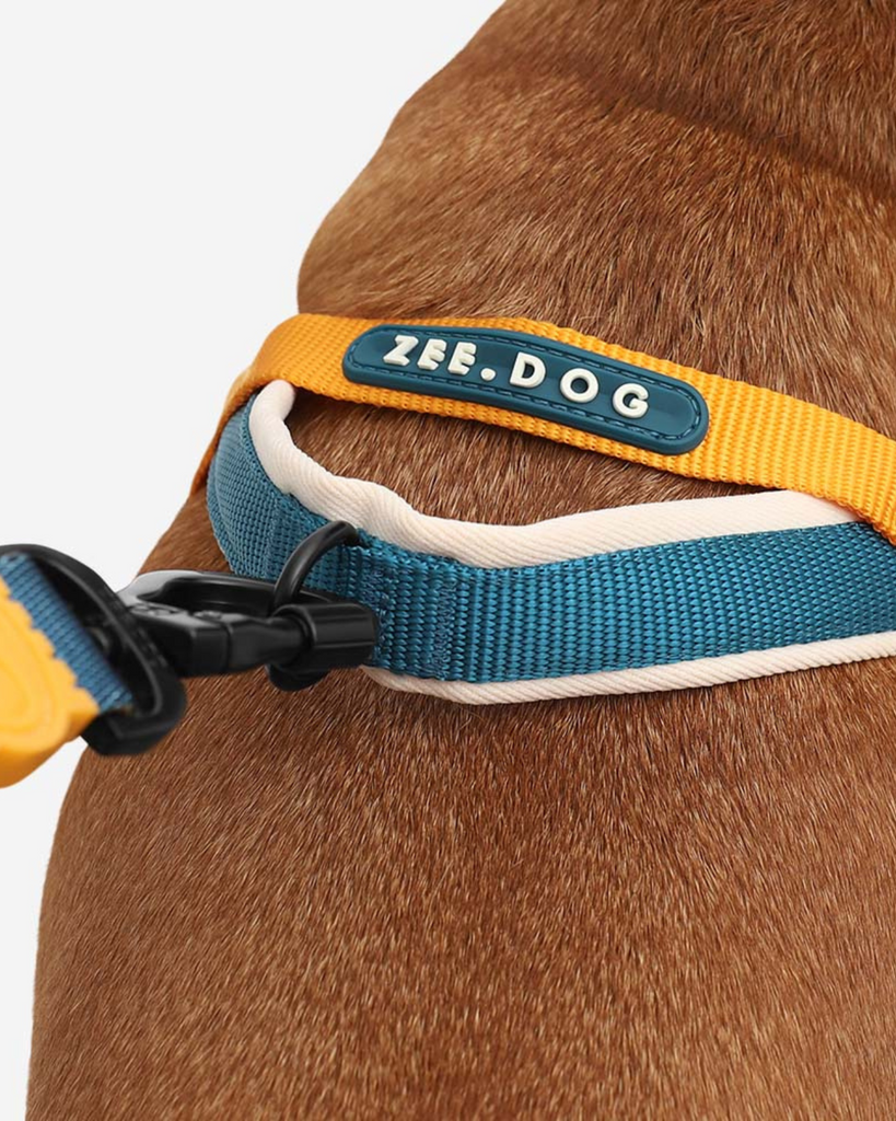 SofterWalk No-Pull Dog Harness in Voyage WALK ZEE.DOG