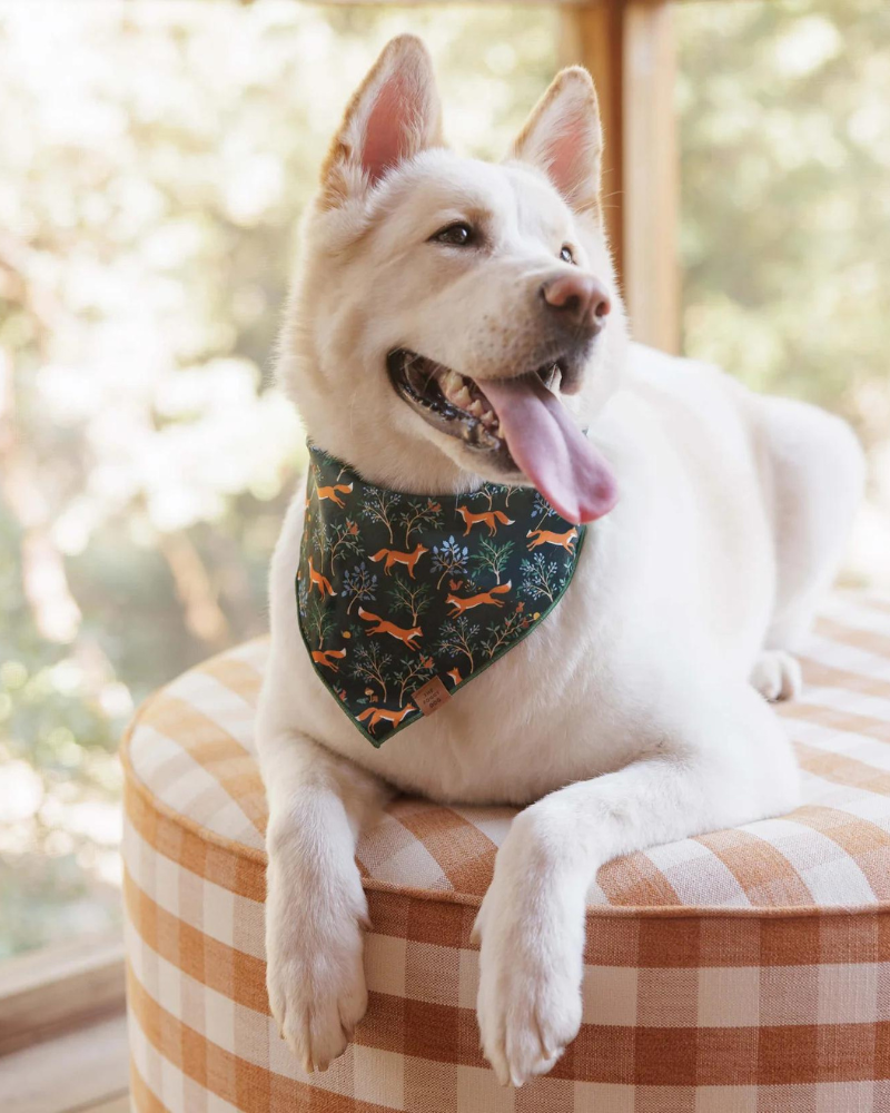 Woodland Fox Dog Bandana (Made in the USA) Wear THE FOGGY DOG   