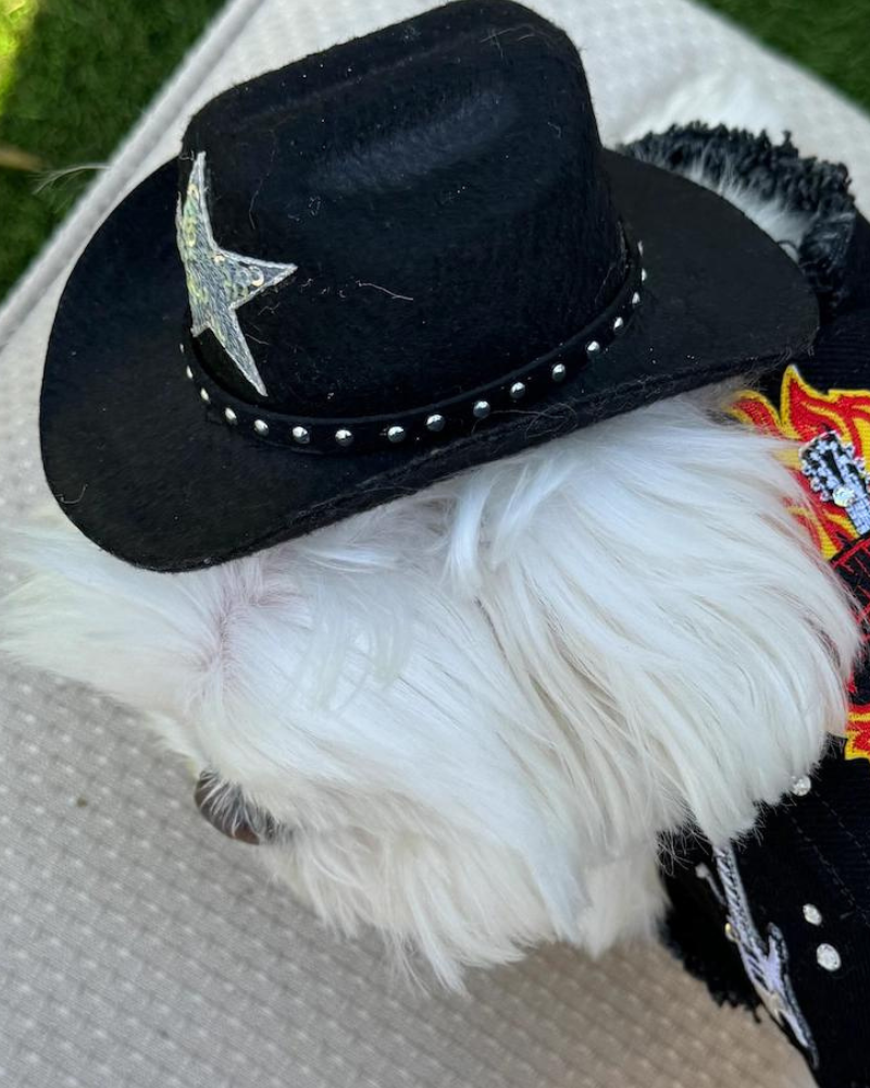 Cowboy Hat for Dogs in Black or Pink Wear HEADS OR TAILS PUP   