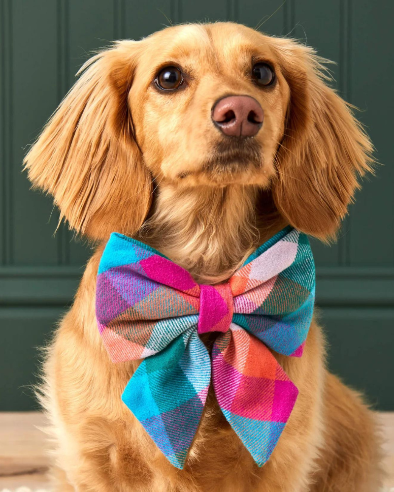 Color Pop Flannel Lady Dog Bow Tie (Made in the USA) Wear THE FOGGY DOG   