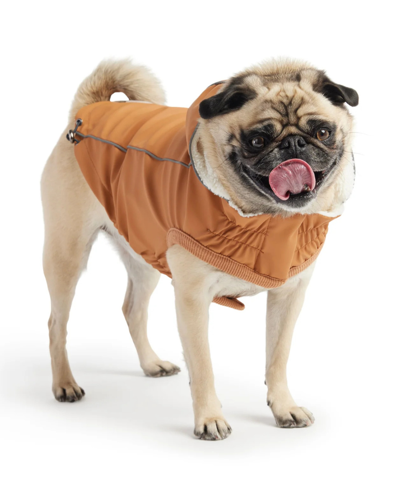 Insulated Raincoat in Hazel (FINAL SALE) Wear GF PET