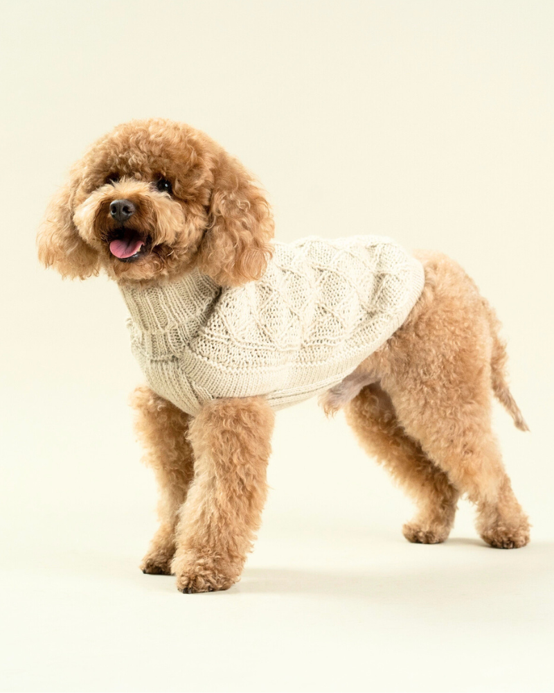 Diamond Knit Alpaca Dog Sweater (FINAL SALE) Wear ALQO WASI