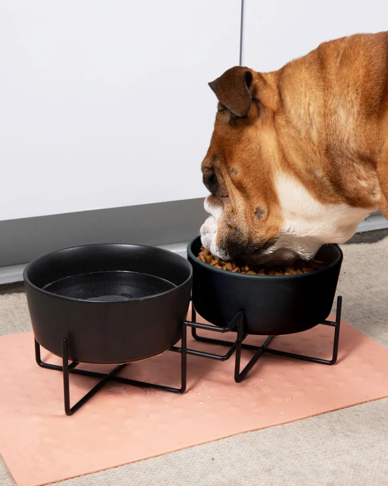 Simple Solid Double Feeder Bowl + Bowl Stand in Black Eat WAGGO