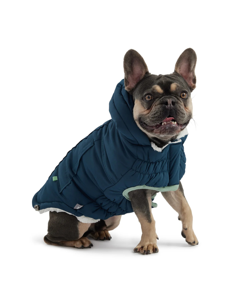 Arctic Dog Parka in Wintergreen Wear GF PET   