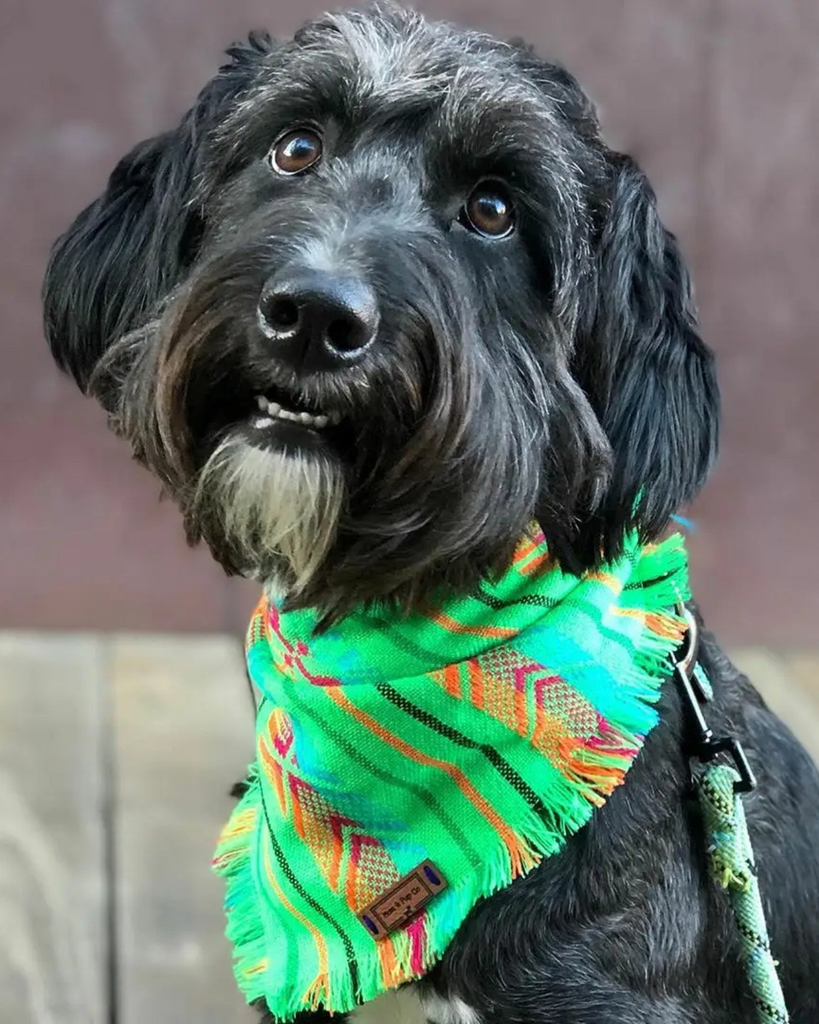 Aztec Boho Dog Bandana Wear MOM AND PUP CO.