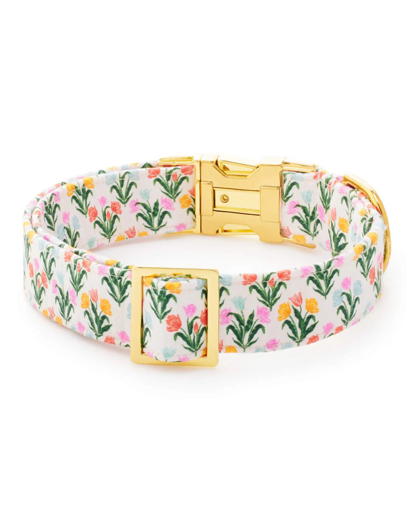 Rifle Paper Co. X TFG Tulips Spring Dog Collar (Made in the USA) WALK THE FOGGY DOG