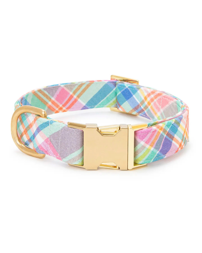 Blooming Plaid Spring Dog Collar (Made in the USA) WALK THE FOGGY DOG