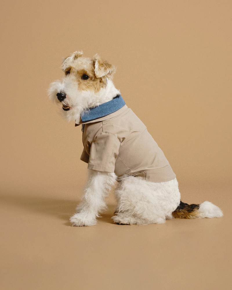 Classic Denim + Khaki Layered Dog Jacket Wear RIIKYU