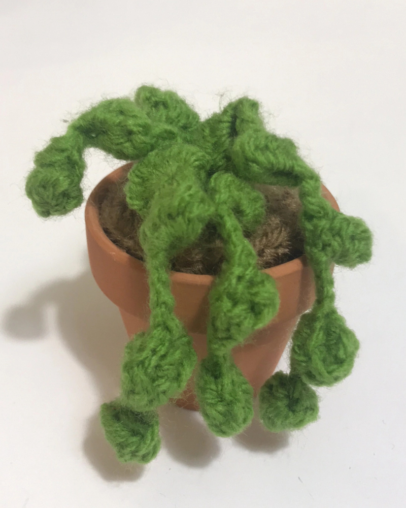 Pet-Safe Crochet Mini Cacti & Succulents (Made in the USA) PLAY ROSEMARY'S BABY MEK Pearl Plant