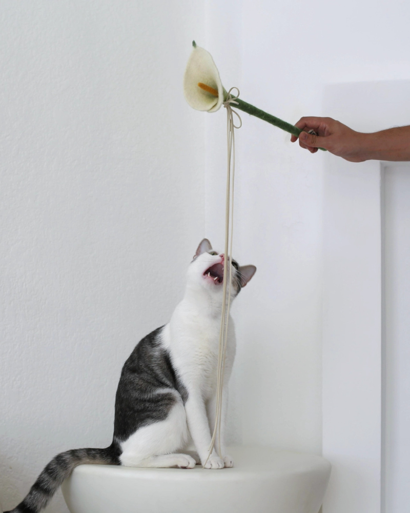 Calla Lily Flora Wand Cat Toy (17" inch) PLAY CATENARY HOME