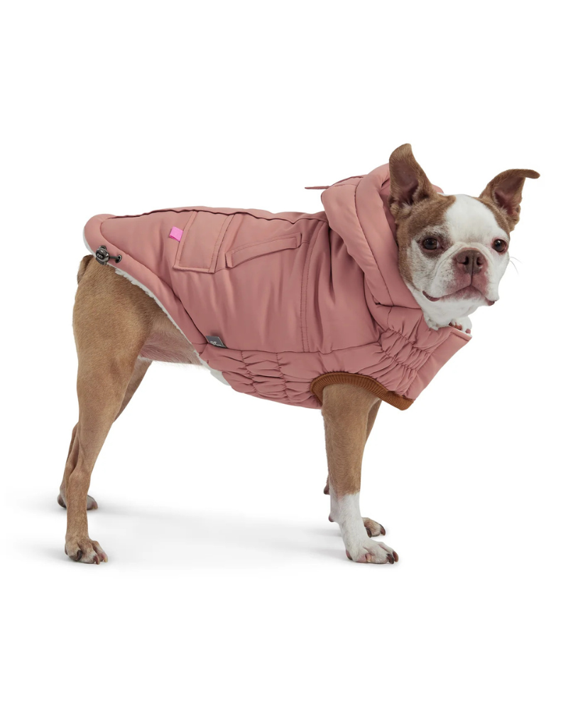 Arctic Dog Parka in Clay Wear GF PET   