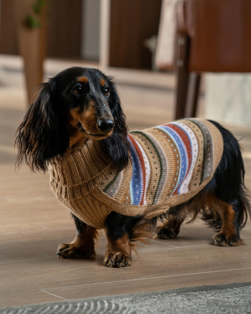 Earthy Stripes Alpaca Dog Sweater Wear ALQO WASI   