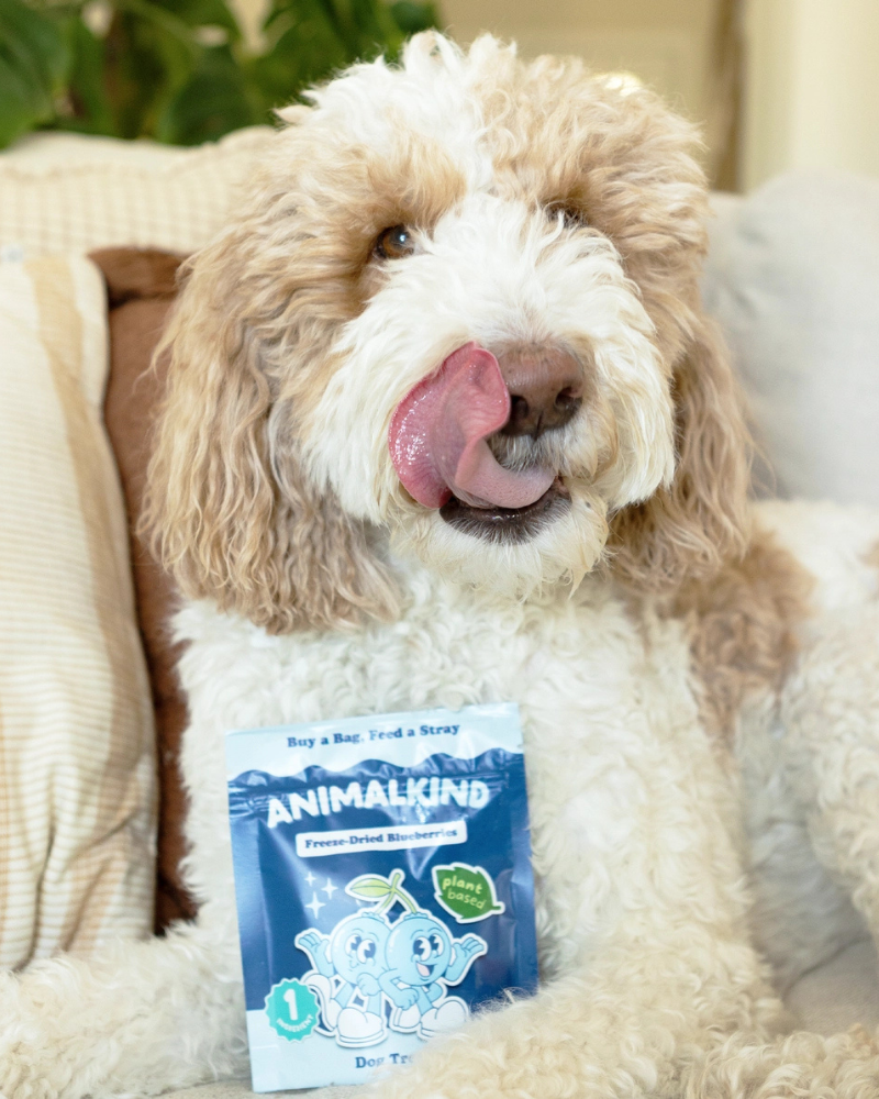 Freeze-Dried Fruit Dog Treats Eat ANIMALKIND