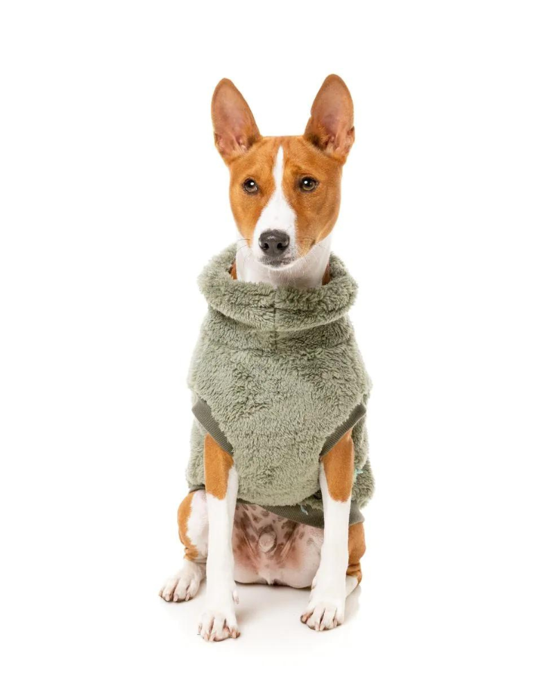 Turtle Teddy Dog Fleece in Rosemary (FINAL SALE) Wear FUZZYARD