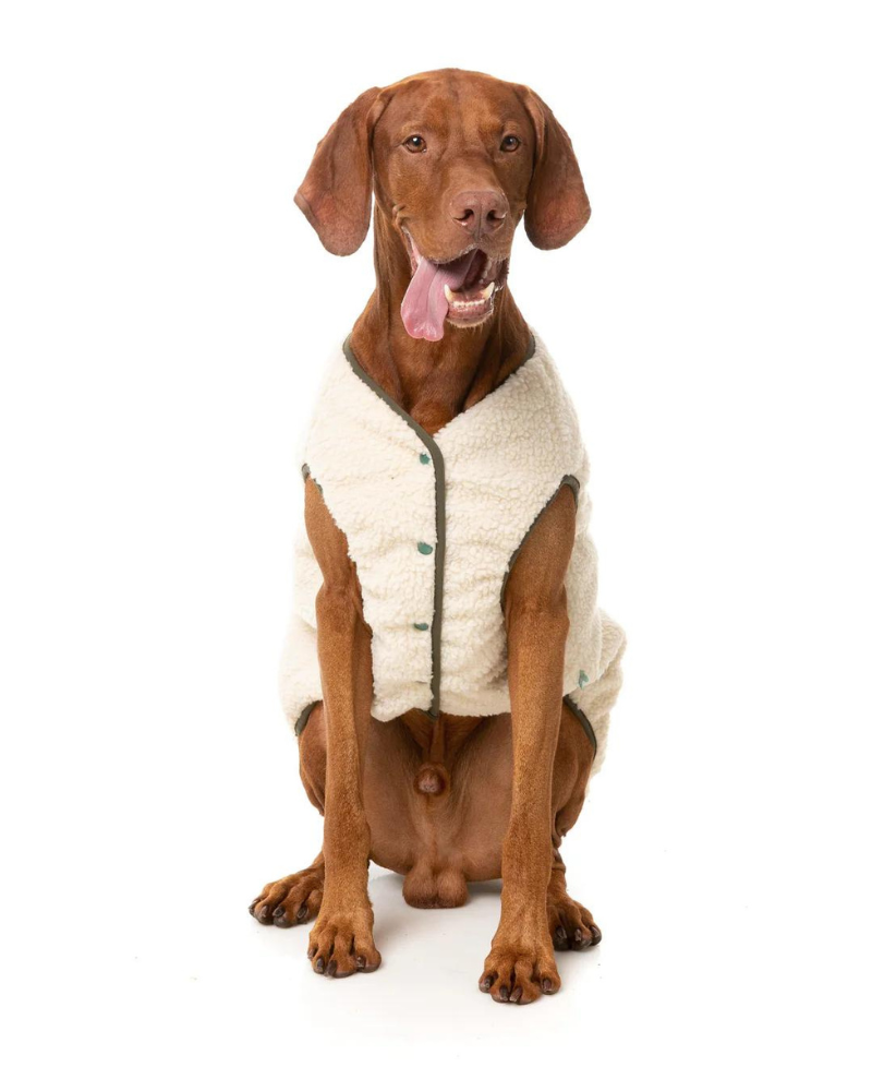 Reversible Nara Jacket for Dogs Wear FUZZYARD   