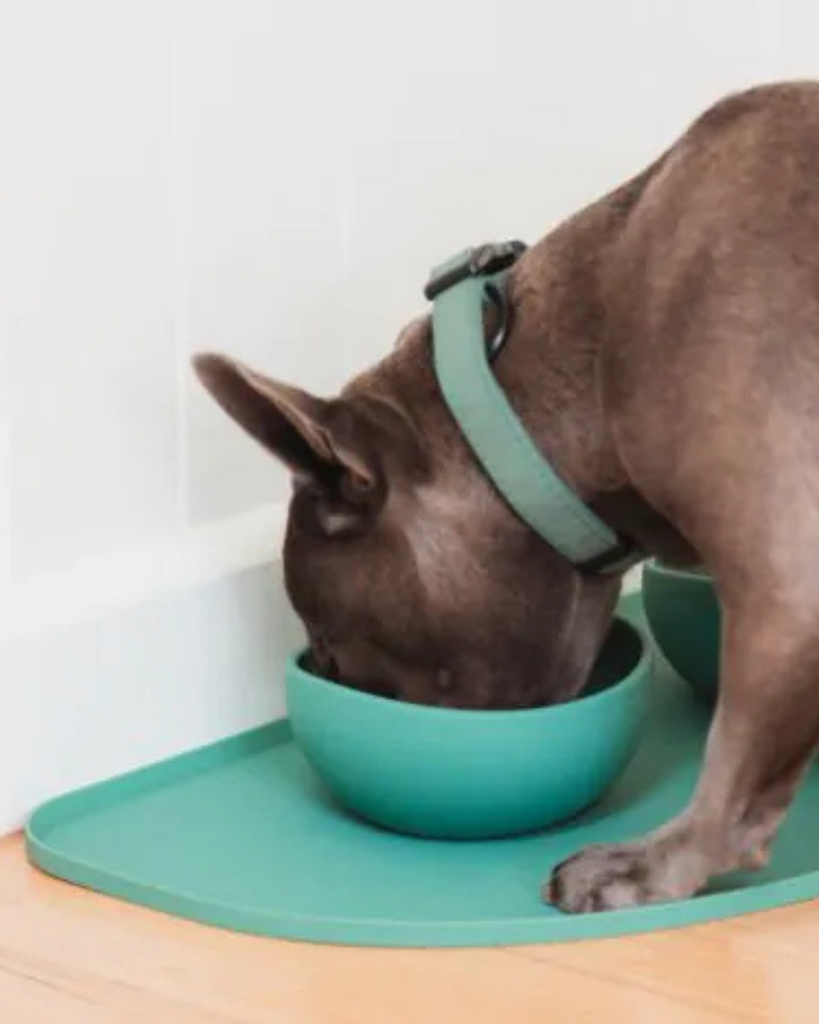 Silicone Placemat Eat FUZZYARD