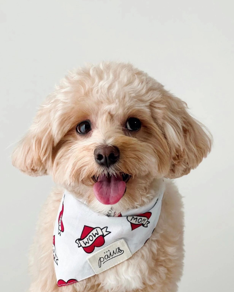 Love MOM Dog Bandana Wear THE PAWS