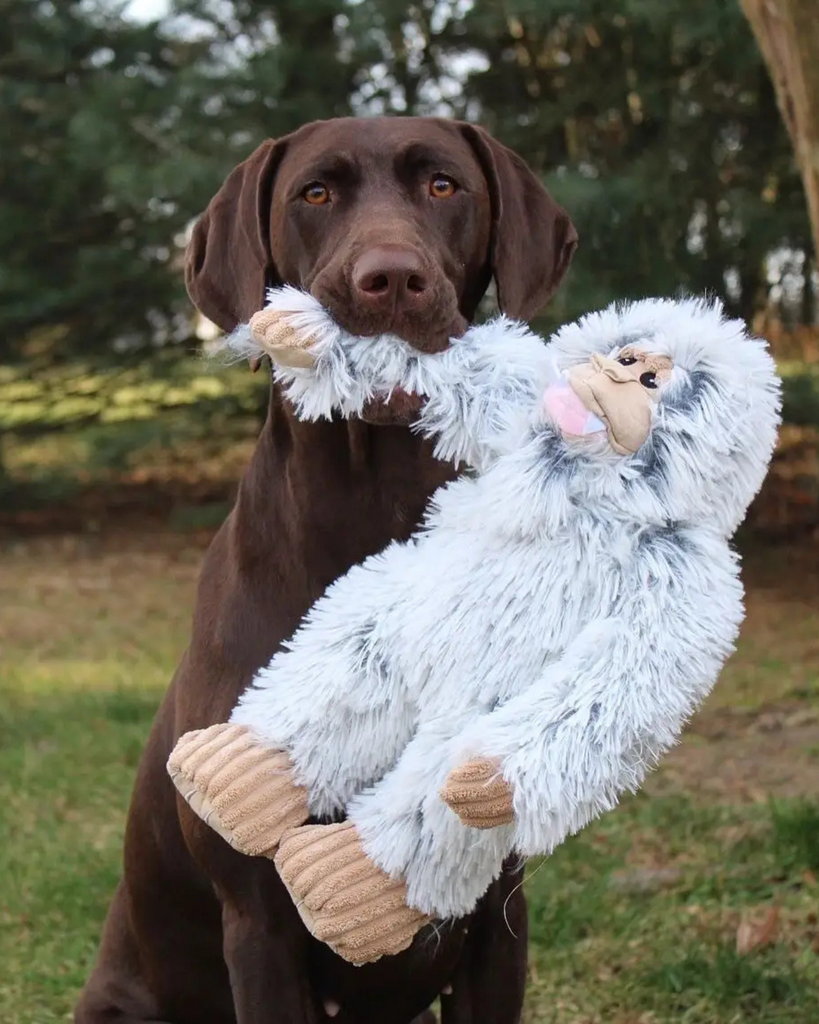 Yeti Squeaky Plush Dog Toy PLAY TALL TAILS