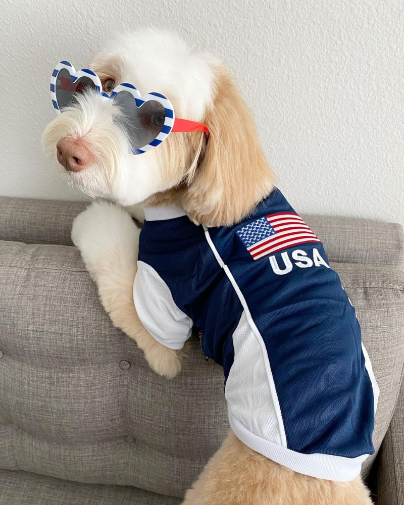 Team USA Dog Jersey (FINAL SALE) Wear PARISIAN PETS   