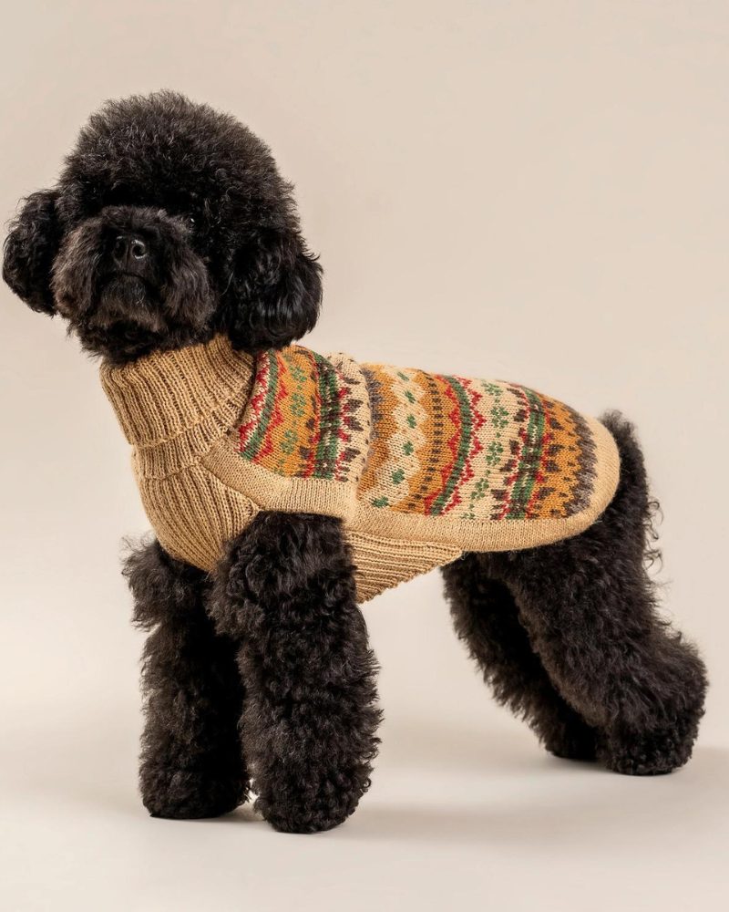 Fair Isle Finn Alpaca Dog Sweater Wear ALQO WASI   