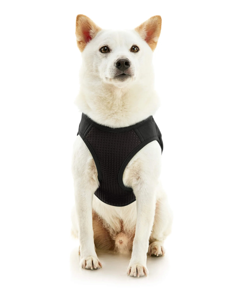 Escape-Free Easy Fit Plus Dog Harness WALK GOOBY