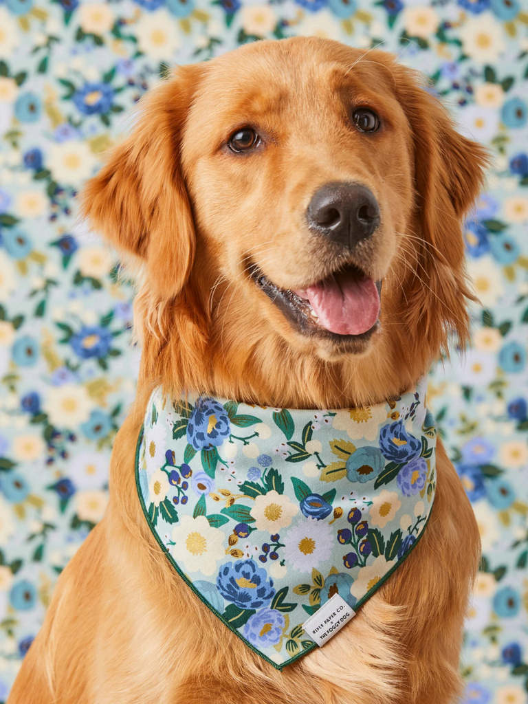 Rifle Paper Co. X TFD Vintage Blossom Dog Bandana (Made in the USA) Wear THE FOGGY DOG