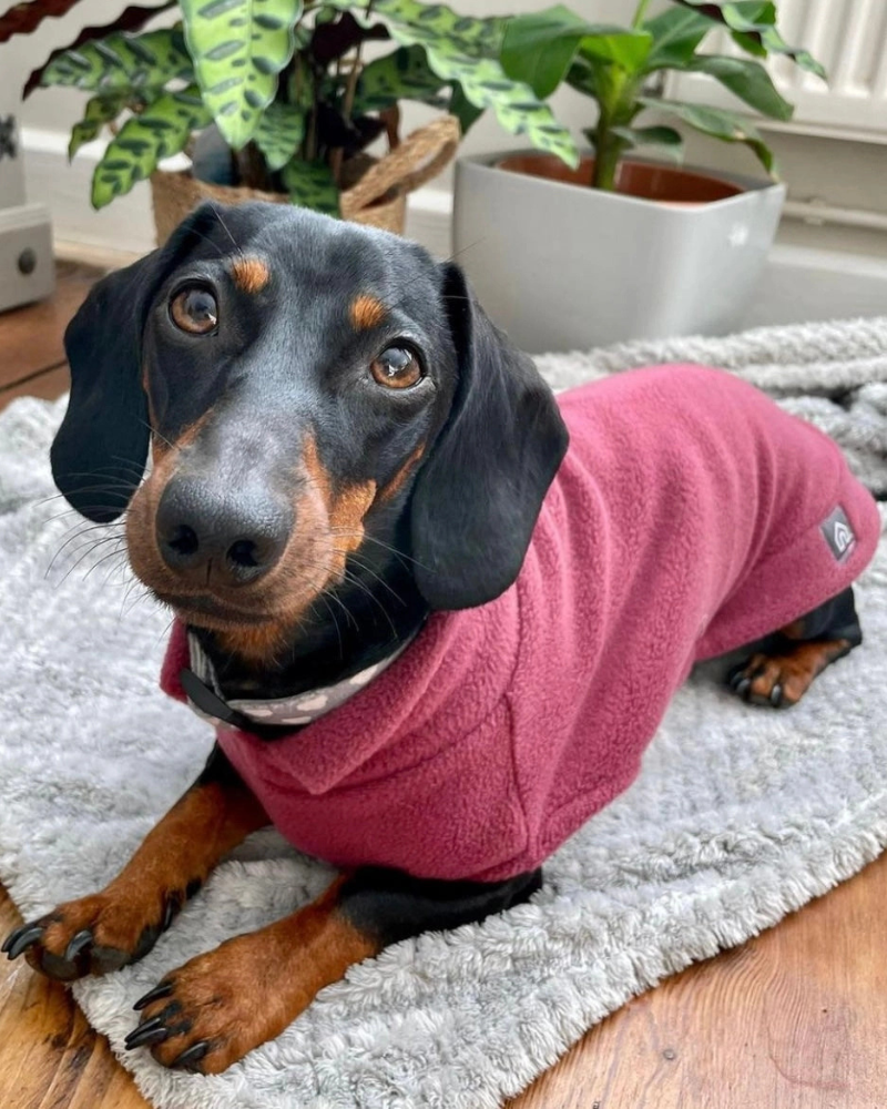 Dachshund Fleece Jumper in Dusty Rose (Made in the UK) Wear DOGHOUSE