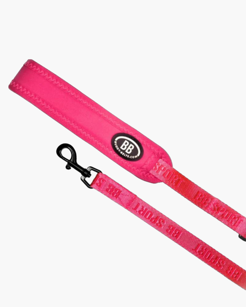 Buddy Belt Sport Leash in Neon Pink Walk BUDDY BELTS   