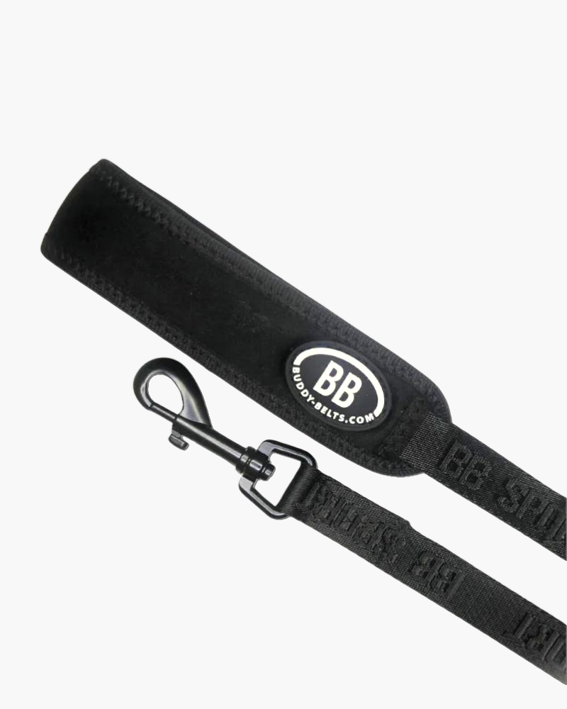 Buddy Belt Sport Leash in Black Walk BUDDY BELTS   