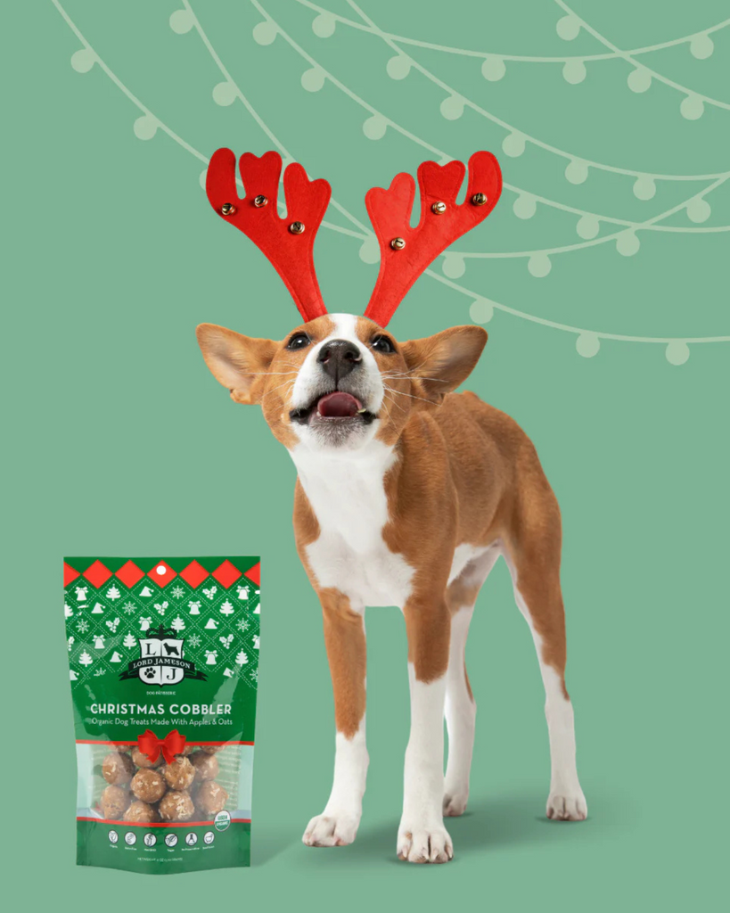 Holiday Christmas Cobbler Organic Dog Treat EAT LORD JAMESON   