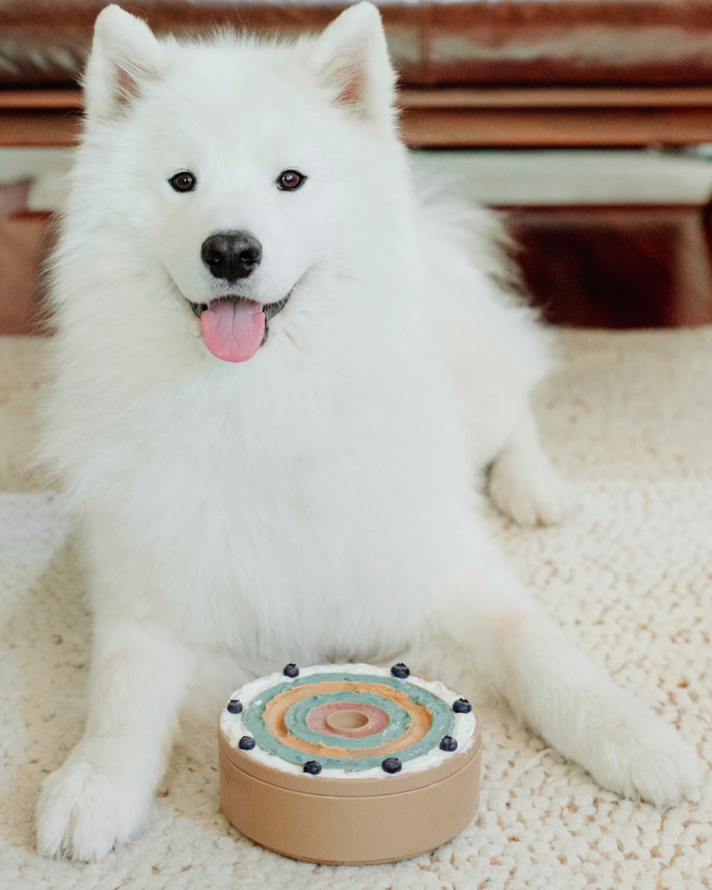 3-in-1 Bento Elevated Slow Feeder + Lick Mat in Dune Eat LAMBWOLF COLLECTIVE   