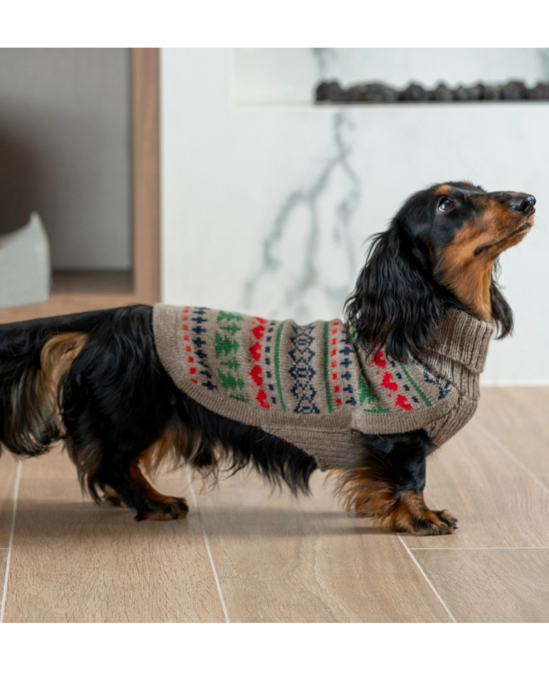 Pine Tree Alpaca Dog Sweater (FINAL SALE) Wear ALQO WASI