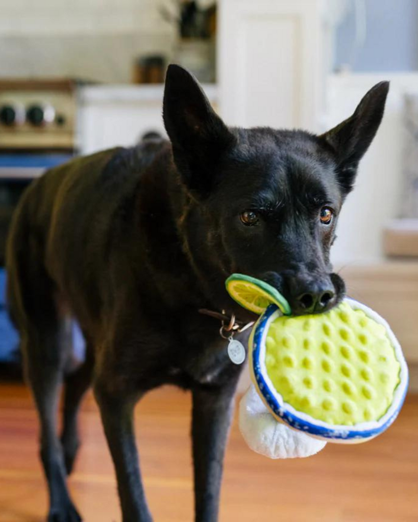 Pup-arita Margarita Squeaky Plush Dog Toy PLAY P.L.A.Y.   