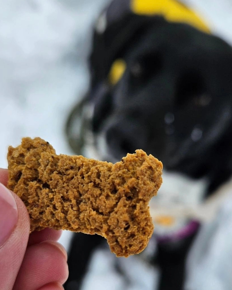 The Og - Sweet Potato Sourdough Dog Treats eat SOURDOG   