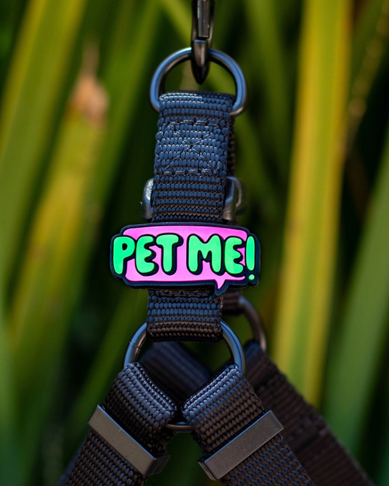 Jiby Silicone Slide On Pet Charms Wear JIBY DOG CREW Pet Me Charm