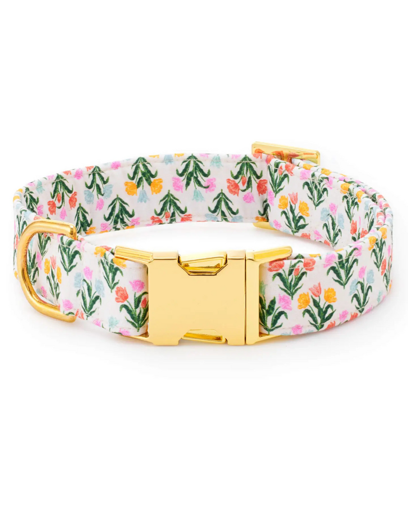 Rifle Paper Co. X TFG Tulips Spring Dog Collar (Made in the USA) WALK THE FOGGY DOG