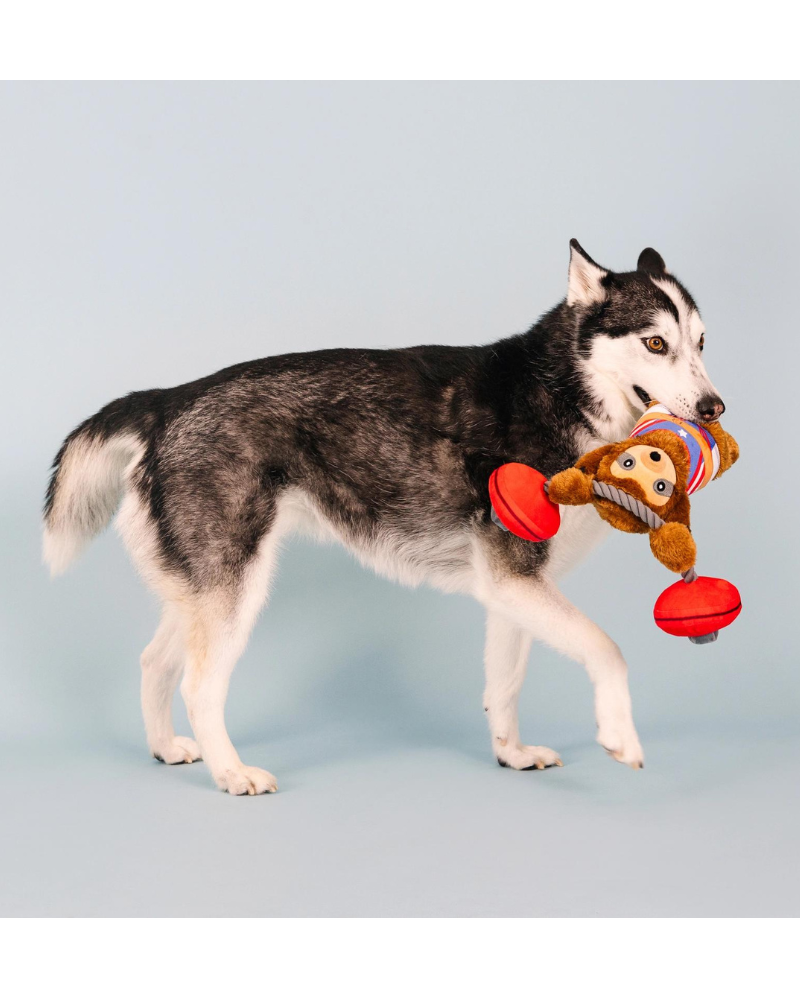 Hustle For That Muscle Speaky Plush Dog Toy (FINAL SALE) Play FRINGE STUDIO   