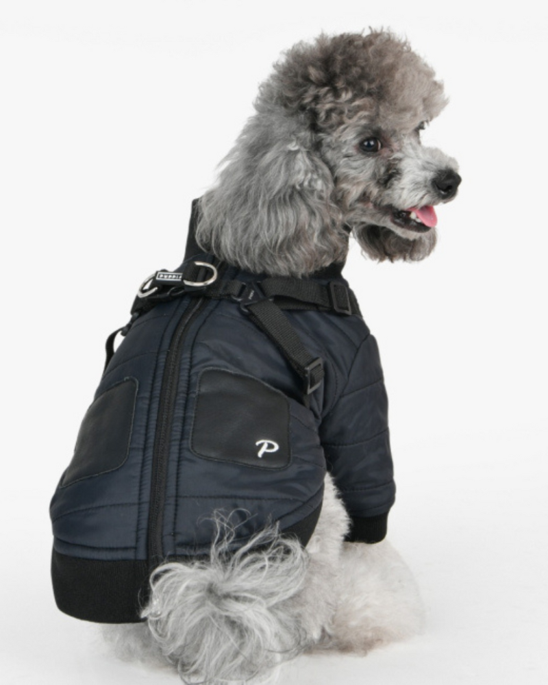 Stratus Dog Harness Coat in Black (FINAL SALE) Wear PUPPIA