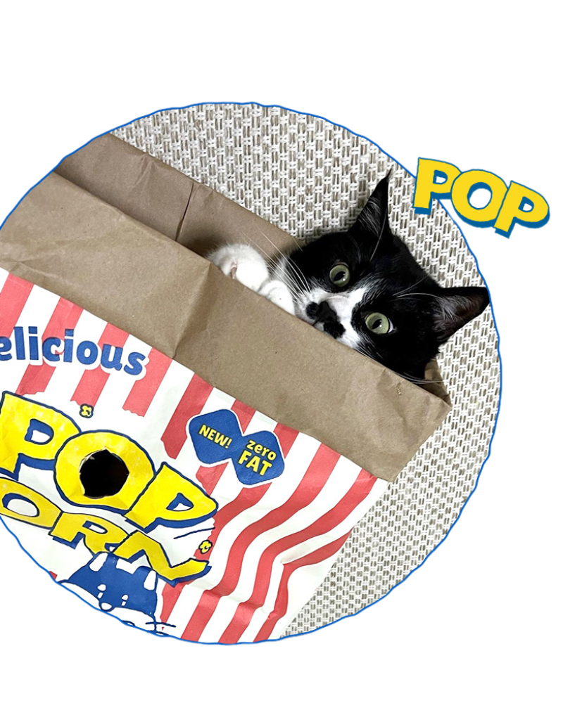 Popcorn Paper Bag Cat Cave Toy CAT BITE ME   