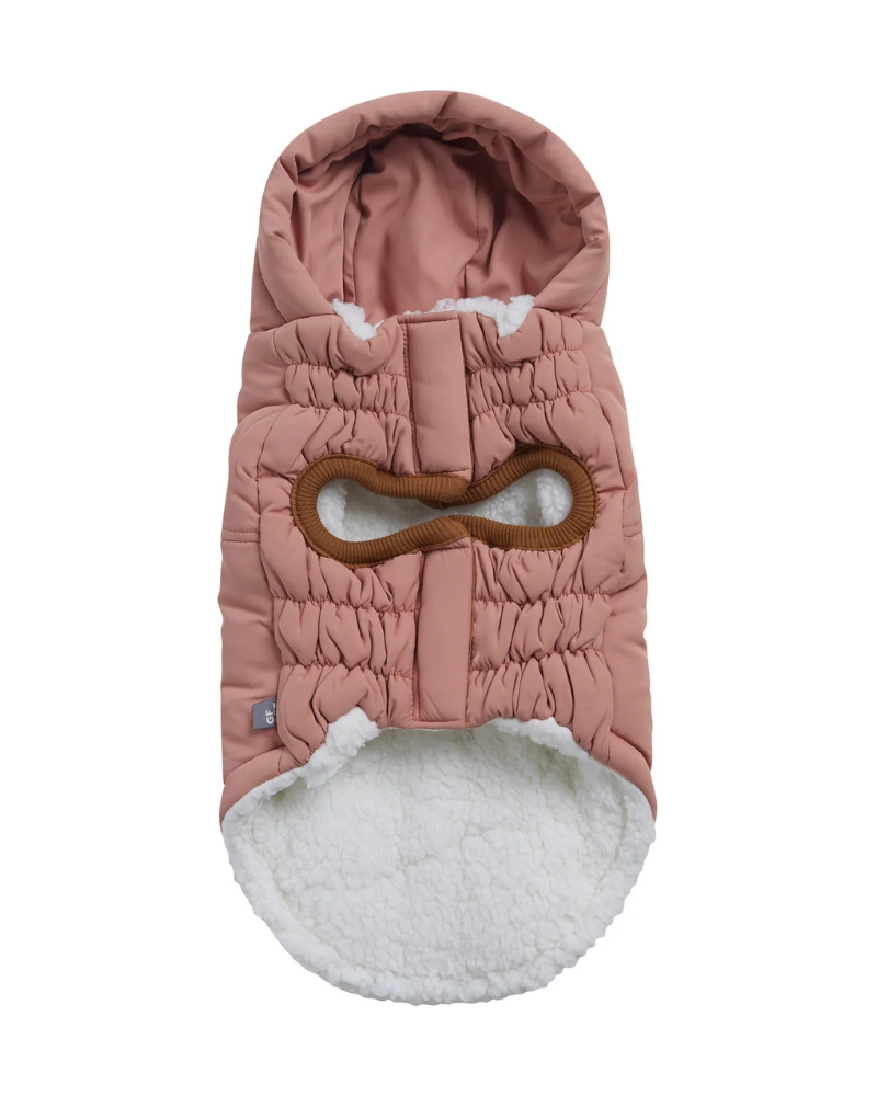 Arctic Dog Parka in Clay Wear GF PET   